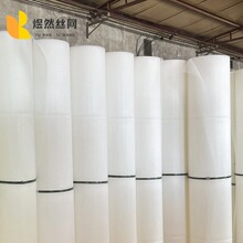 白色塑料平网宠物楼梯防坠网阳台封窗网养鸡围栏网漏粪网垫网格网