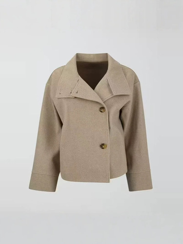 Cross-border Europe and America 2025 autumn and winter new women's clothing Amazon temperament elegant standing collar buttons long-sleeved woolen coat