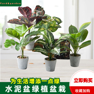 ����ֲ�����Ա��W�Gֲ�b������҃��辰�Ƶ�͏d�[����������~