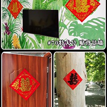 ��ϲ��Ů���Y���t���C�����������w��С̖ϲ��·�b�ɫϲ���N
