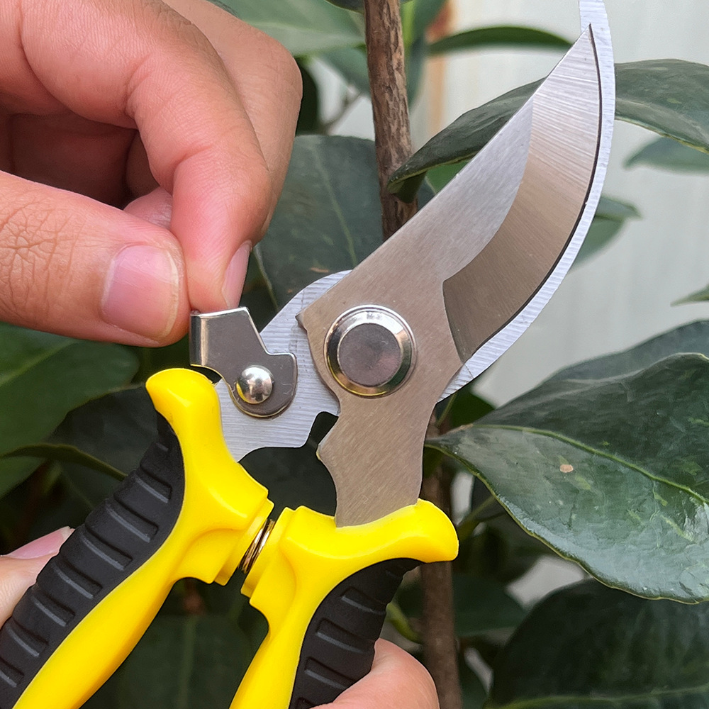 微信图片_20230424160126