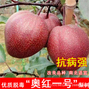 �ʺ������޽����ּt���ļ�ͥԺ���Ե��Ա��Ϸ��Nֲ����Y������