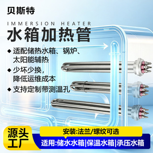 ˮ��ӟ��DN40/50�l���immersion heater偠t늟��