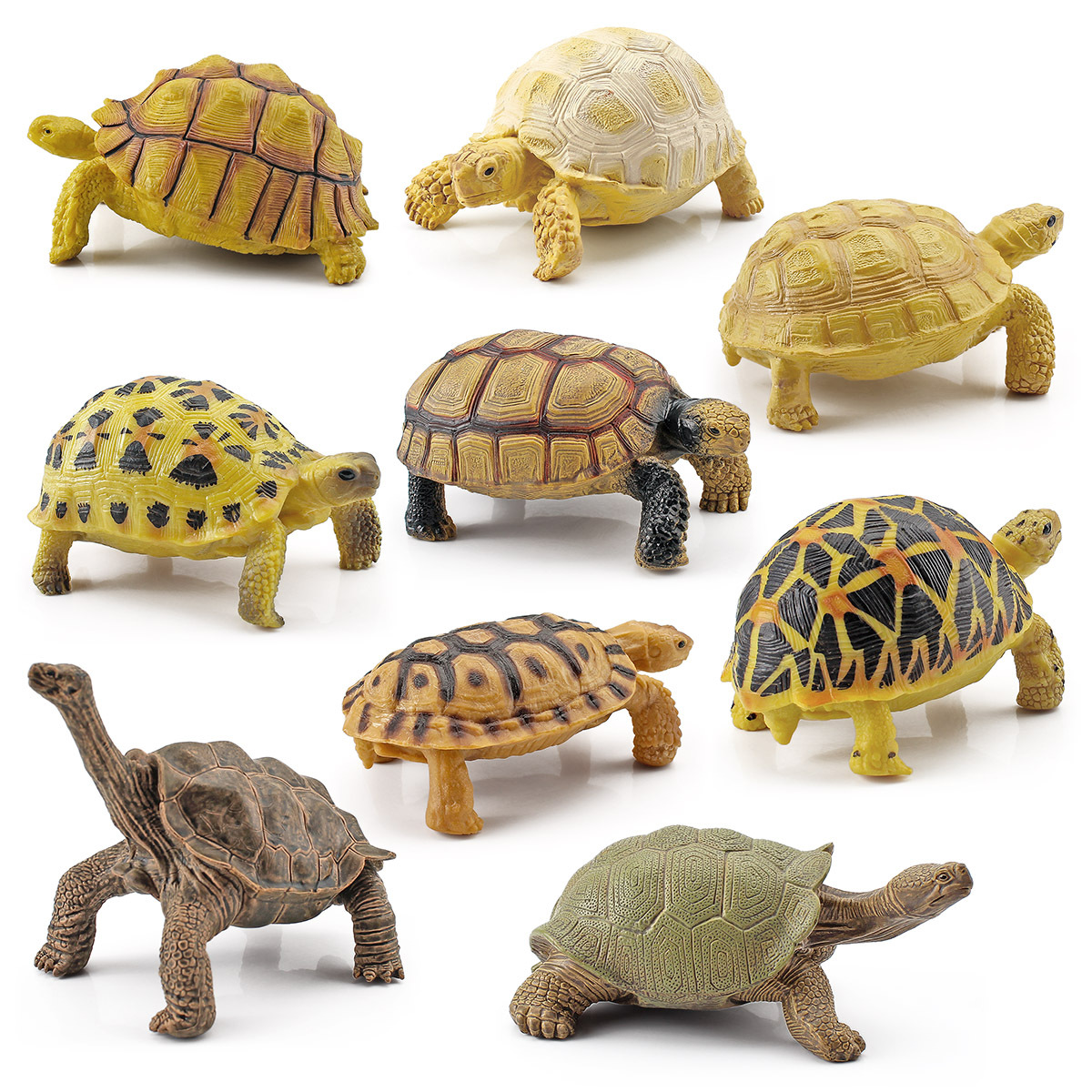 Cross-border children's science and education simulation amphibious reptile model terrestrial tortoise Galapagos tortoise Hermann's tortoise static decorative ornament toy