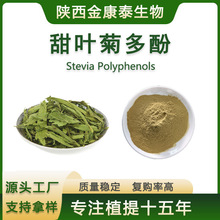甜叶菊多酚40%甜叶菊提取物Steviapolyphenols甜叶菊粉新食品原料