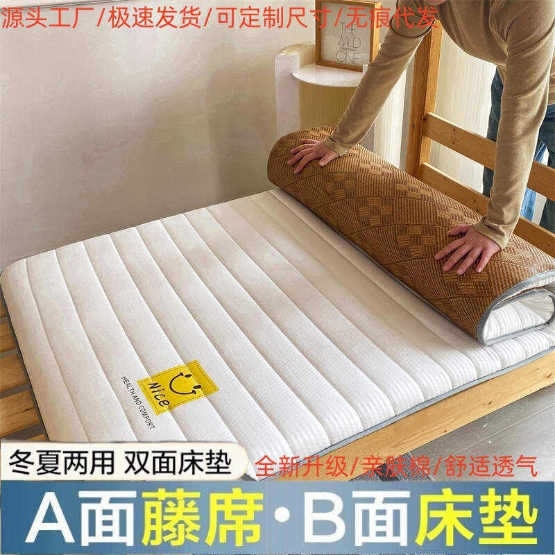 Household Winter and Summer Double-Sided Mattress Cushion Dual-Purpose Ice Rattan Mat Thickened Student Dormitory Mat Tatami Mattress Wholesale