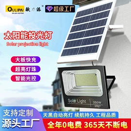 太阳能灯;庭院灯;路灯