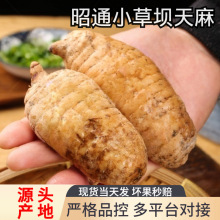 ͨС݉ηҰYЬFڬFlrһl