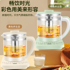 多功能养生壶烧水壶办公室水壶煮茶煎药壶烧水壶一件代发批发出口