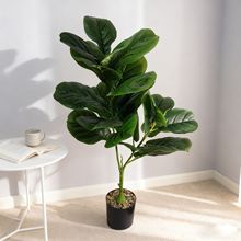 �߷������~��ϵ�з���ֲ�� ����������Ա��W�L�p�ݼҾ��b�