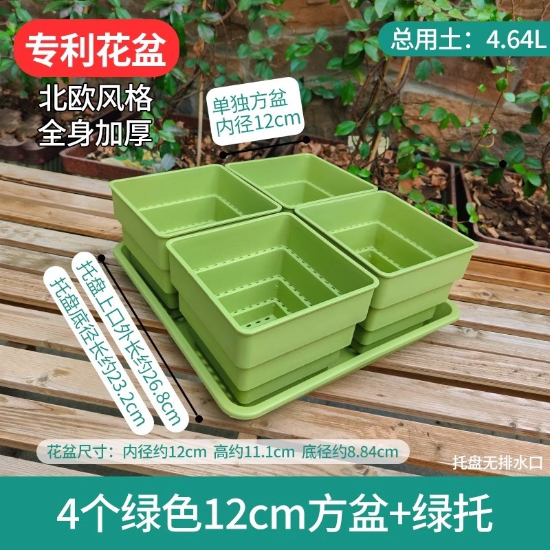 樹脂多肉植木鉢大口径小白角コンビネーション台座付きトレープラスチック通気植物専用根付き鉢|undefined