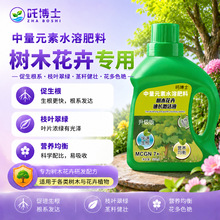 ���L���ք���ľ�������ɘ�G����������L�����L����Һ��ֲ���