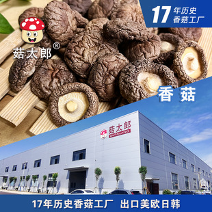 ���鹽С�㹽2-2.5CM���o���㹽��؛��׵�׽��X��Ģ�����؂䰸