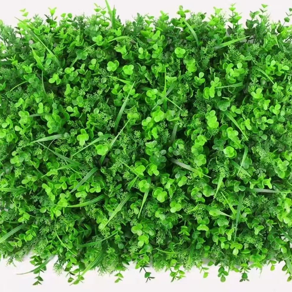 Aquatic eucalyptus