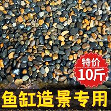 原生天然溪流鱼缸底砂造景水族乌龟铺底装饰鹅卵石直发工厂跨境
