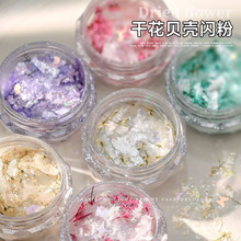 网红美甲贝壳干花闪粉饰品混款爆闪幻彩贝壳片欧泊粉梦幻云锦闪粉