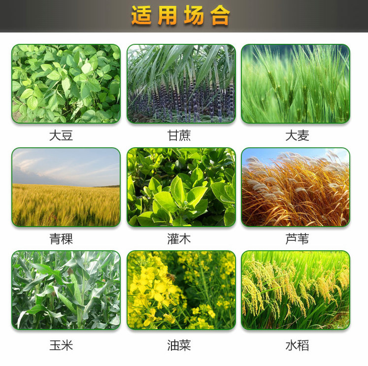 詳情圖片_17
