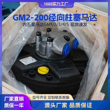 GM2-200 ���SAI Һ���R�_�����^�C�����Ǵ�Ť�؏����������R�_