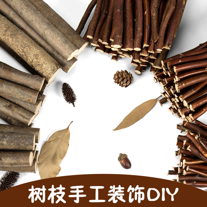枝材料天然乾燥枝幼稚園児童手作りdiy装飾材料木創造造景原木段|undefined