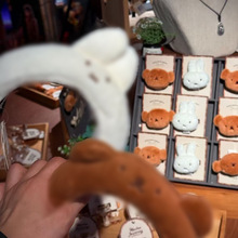 �ɐ�ë�q�׷��ðl������ϴĘ���ȸ��B픉��l�^���ﶬ�¿�l�