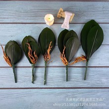 仿真叶子手感假花 蝴蝶兰花叶家居装饰仿真 植物盆栽盆景绿植批发