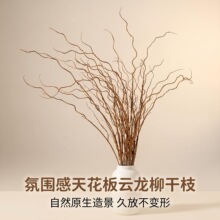 仿真植物云龙柳枯枝插花配材家居装饰枝条塑胶干树枝造景摆设批发