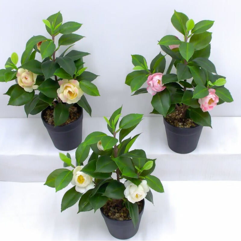 Simulated Flower Camellia Small Bonsai Green Plant Flower Arrangement Camellia Fake Flower Home Decoration Simulation Potted