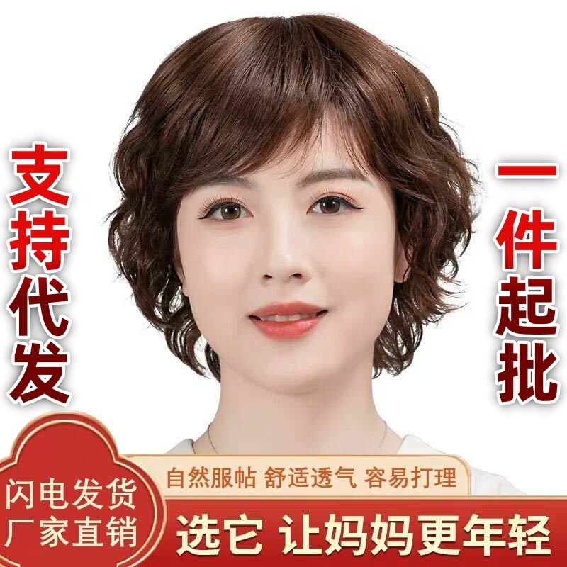 Full Head Wig for Women, Short Hair Wig, Real Hair, Seamless, Invisible, Natural Short Curly Hair, Middle-Aged and Elderly Mother Style Full Head Wig for Women, Short Hair Wig, Real Hair, Seamless, Invisible, Natural Short Curly Hair, Middle-Aged and Elderly Mother Style
