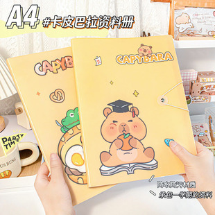 Kapibala Information Book A4 Transparent Insert Folder Collection Book Student Certificate Test Paper Storage Book Wholesale