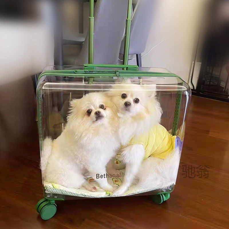 麓f貓包外出便攜拉杆箱貓咪行李箱透明寵物旅行箱大號狗狗推車貓