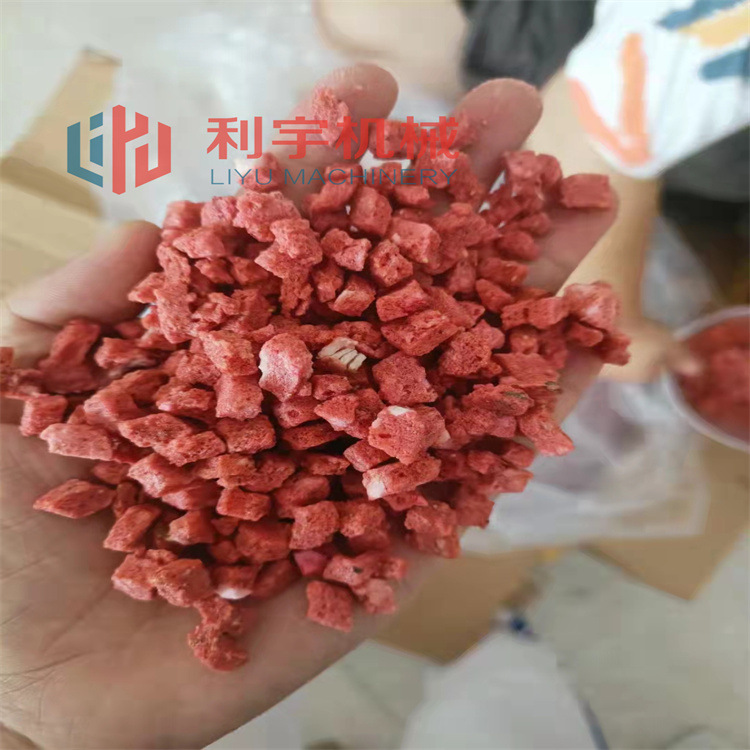 西瓜草莓丁水果类低温冻干机  牛肉真空冷冻干燥机  混沌冻干设备