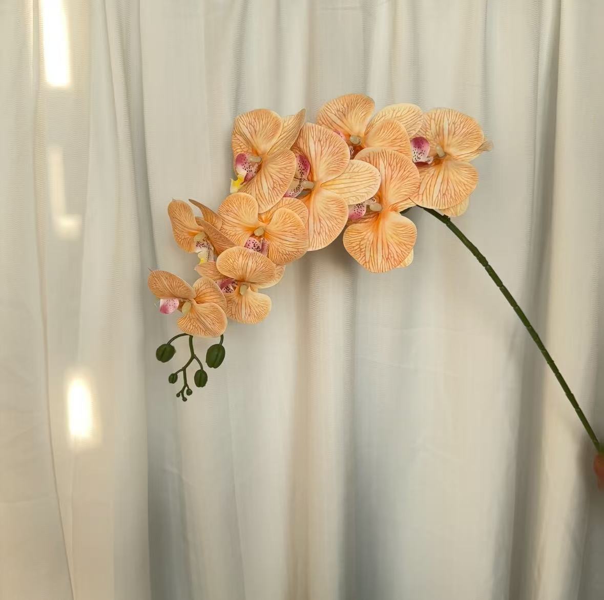 9-cabeza película Phalaenopsis flor artificial salón comedor Mesa alta rama piso decoración flor falsa Boda boda arreglo de flores