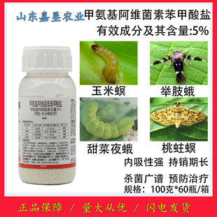 �׽��Ψ5%�װ������S���ر������}�����������Ҙ��e֬�ꚢ�x��