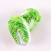 �ɐۄ����߲˱����N���w������N�N���b��F