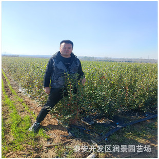 ���س��ۃ����{ݮ �錚�{ݮ �X�����{ݮ 2�����ϸ߅��{ݮ��r��