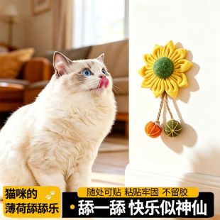�N��؈�������տ�����С؈������˽␞ĥ�����X؈����������