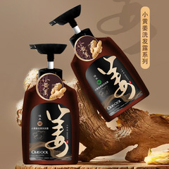 Eucor Ginger Anti-dandruff Shampoo, Refreshing Oil Control, Scented, Lightweight, New Product Wholesale