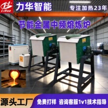 工厂定制电磁中型熔炼炉变频钢铁金属黄铜铝合金实验式熔金熔炼炉
