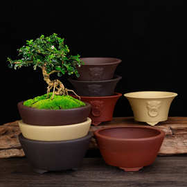 宜兴紫砂透气花盆小号桌面多肉植物菖蒲盆景个性老庄绿植厂家批发
