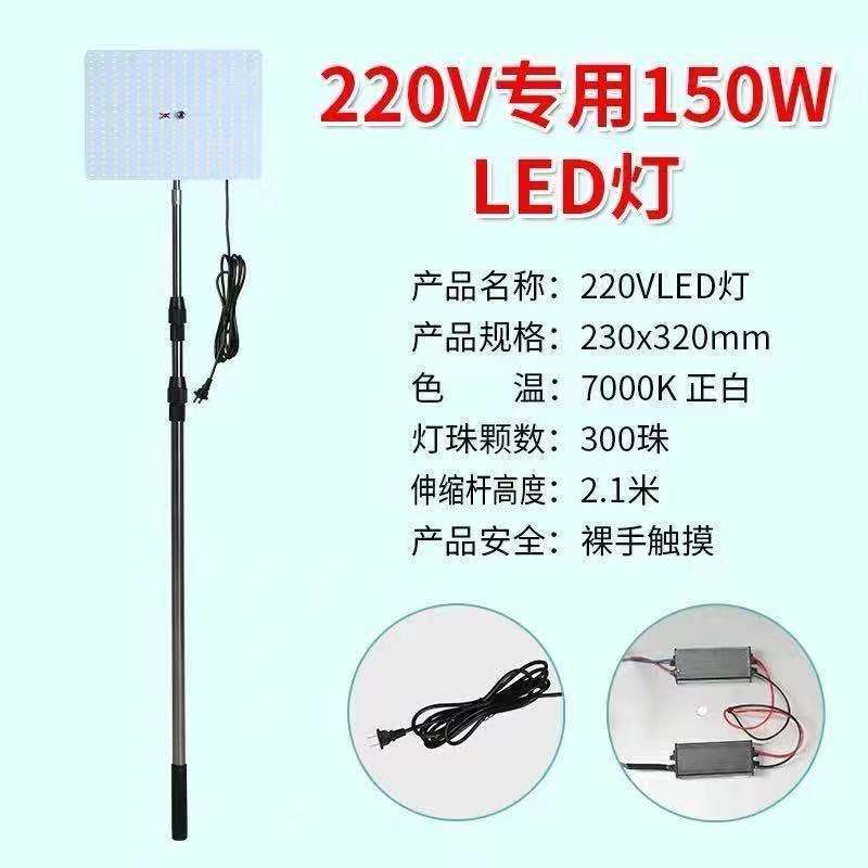 12v luz del mercado nocturno 48 v220 voltios batería carga led puesto luz súper brillante de baja tensión CC luz de emergencia exterior fábrica