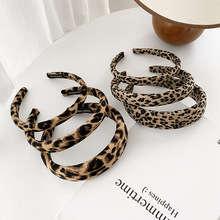 �͹ű��y���c�lȦŮ���Rβ�l�K�ߏ�������Ƥ����B픉��l�^���^�