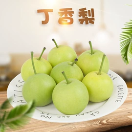 桃子;瓜果类;李子/布林