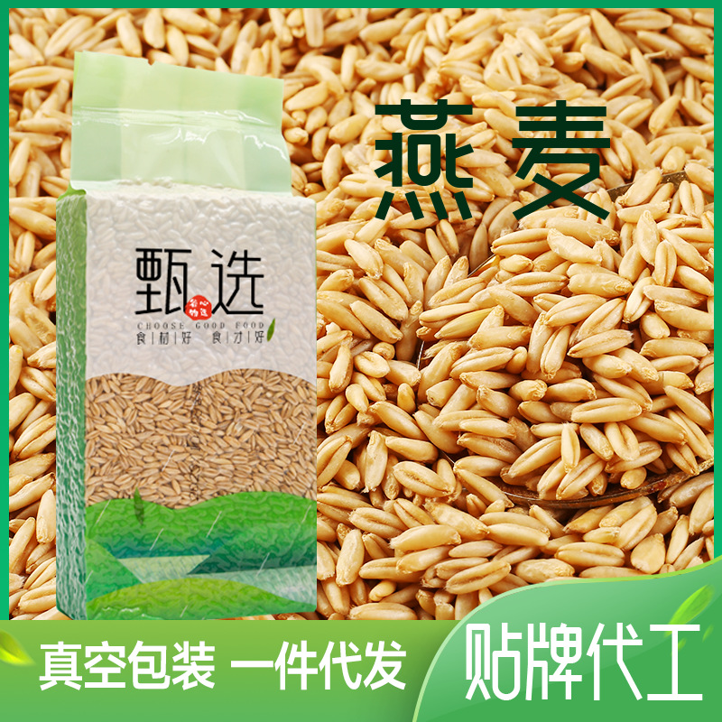 Oat rice 500g, vacuum packaging, Inner Mongolia new harvest, grains and cereals for congee, germ oats wholesale