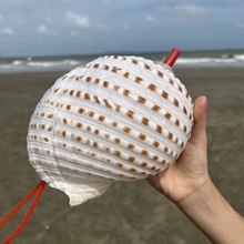 ��Ȼؐ�����ݿ��ں��I���ξ��^���N�aƷ�[�����I�ֹ�DIY ��������