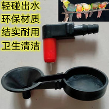 鹦鹉饮水器小太阳饮水器文鸟用饮水器金丝雀饮水嘴水头小白鼠宠物