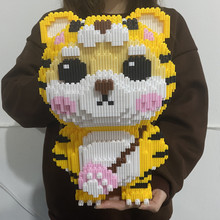 CLS����ɭС�w���eľƴ�b������ϻ��[����Ф������Y��