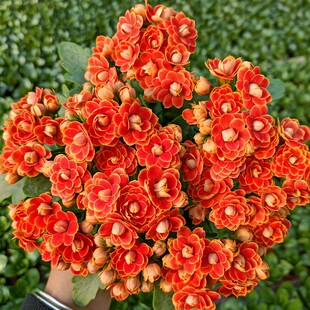 �L�ۻ������ذ�����󻨎����������ļ��҃��_�����B�Ļ���ֲ��