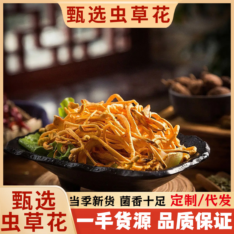精选无硫虫草花干货煲汤食材批发零售当季新品菌香十足|ms