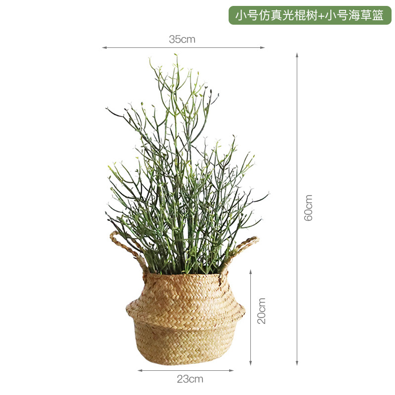 Cây đơn mô phỏng nhỏ giỏ cỏ biển nhỏ
