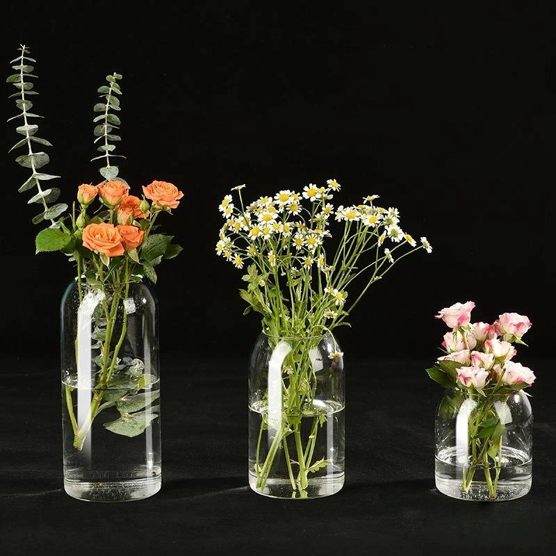 Прозрачная большая гидропонная ваза для растений, простая ваза для плюща, декоративные украшения, высокоборосиликатное стекло, экологическая бутылка для горшка